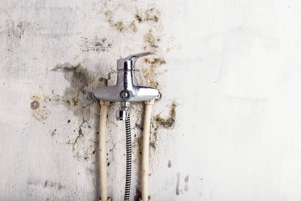 Mold Testing and Removal in East Spencer, NC