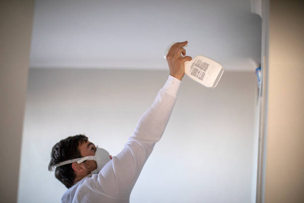 Best Local Mold Removal Service  in East Speer, NC