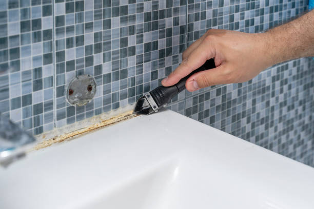 Certified Mold Removal in East Spencer, NC