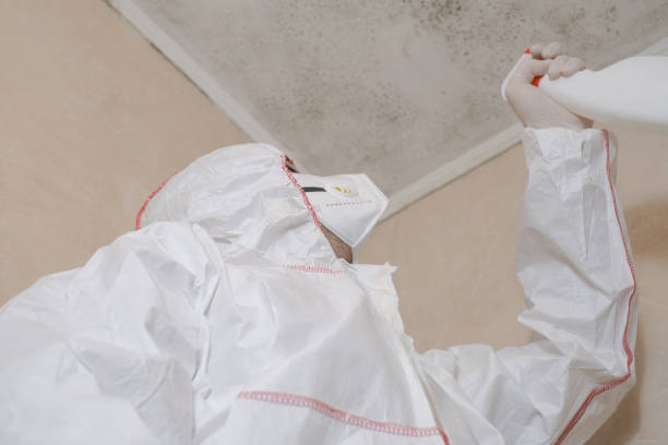 Mold Removal Process in East Spencer, NC